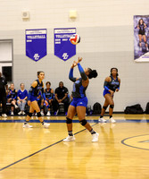BC lady vb-20