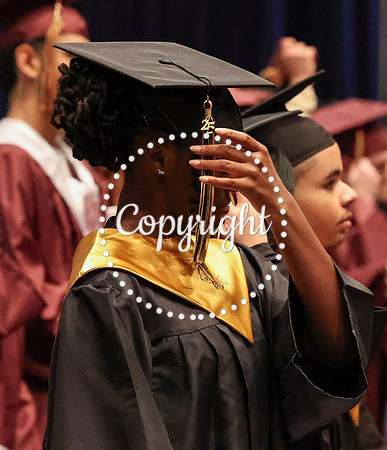Nikki Grad Photos 2025-20