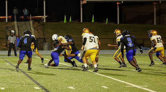 Bears-109