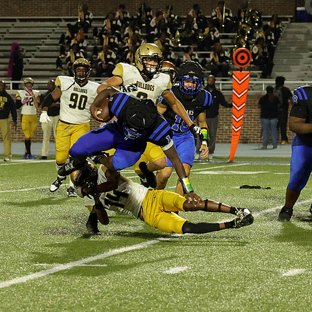 Bears-107
