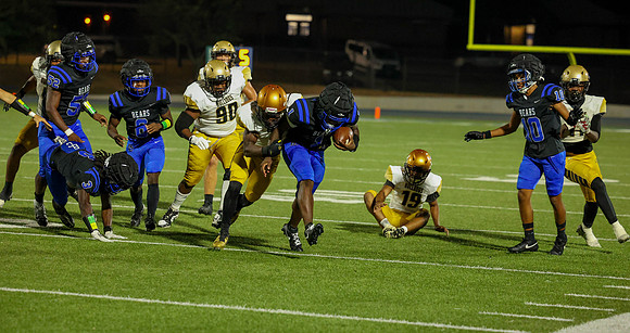 Bears-52