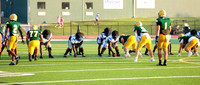 Bears-19