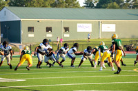 Bears-20