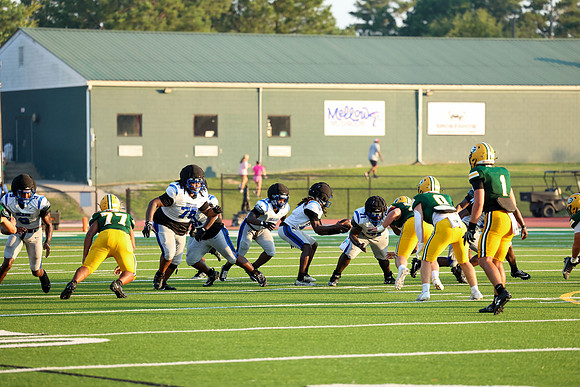 Bears-20