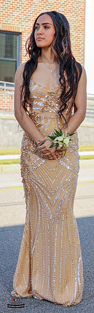 Niece 2025 Prom-28