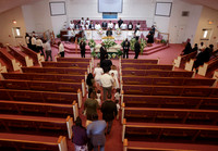 Cobb-2