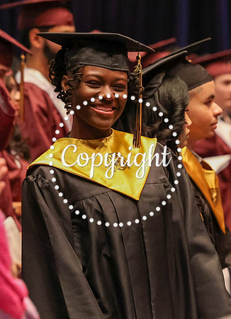 Nikki Grad Photos 2025-24