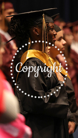 Nikki Grad Photos 2025-7
