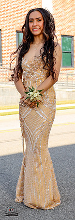 Niece 2025 Prom-29