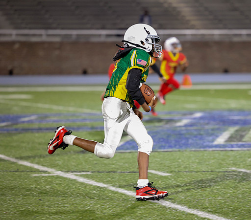 Packers-100