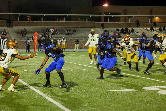 Bears-113