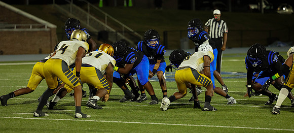 Bears-55