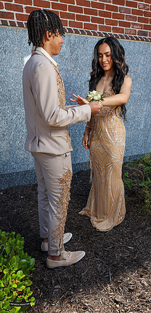 Niece 2025 Prom-5