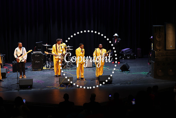 The Singing Stars-24