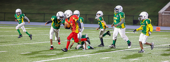 Packers-44