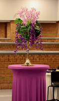 Purple-7