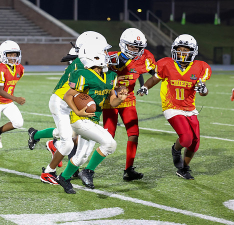 Packers-195