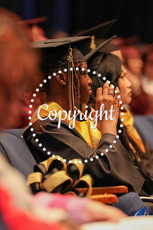 Nikki Grad Photos 2025-15
