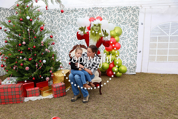Grinch-47