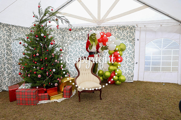 Grinch-3