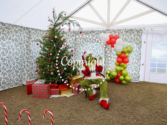 Grinch-4