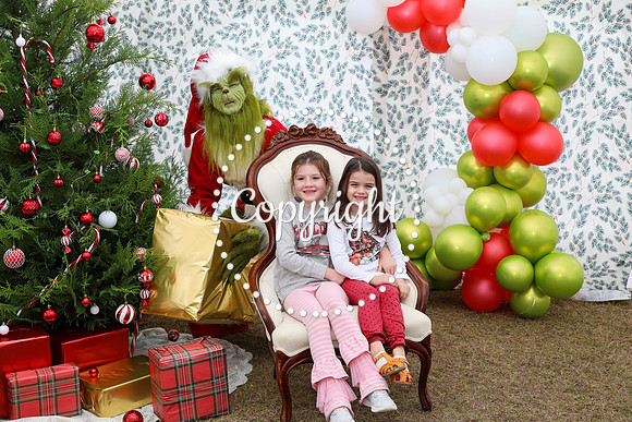 Grinch-42