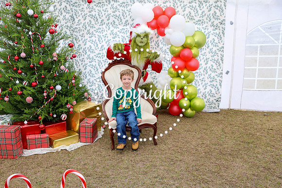 Grinch-25