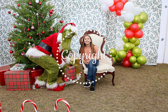 Grinch-31