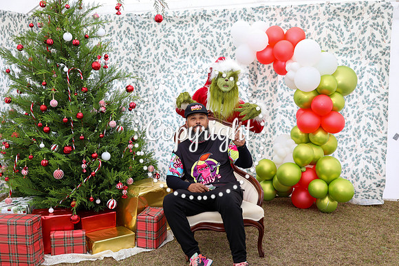 Grinch-24