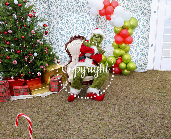 Grinch-18