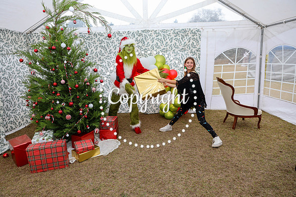 Grinch-123