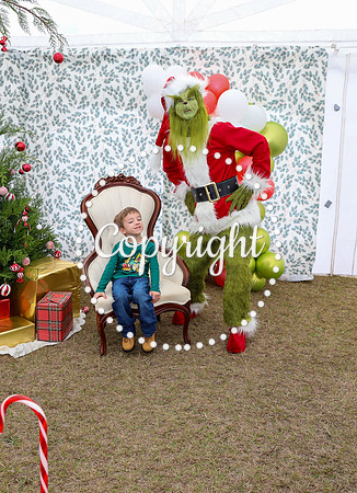Grinch-26