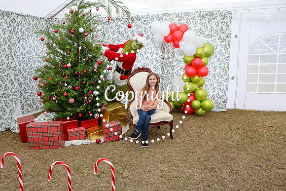 Grinch-33