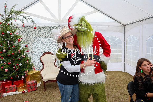 Grinch-37