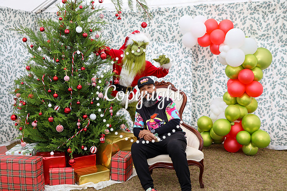 Grinch-23