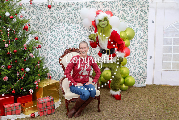 Grinch-36