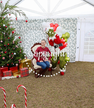 Grinch-34