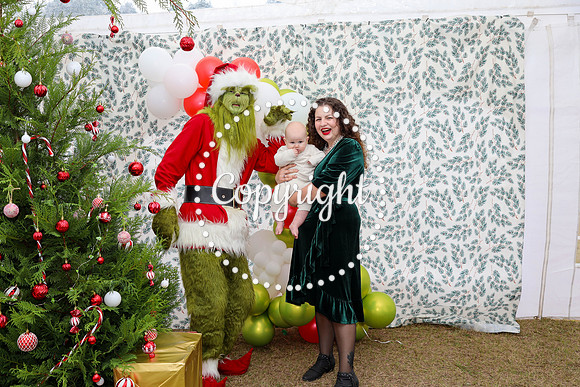 Grinch-132