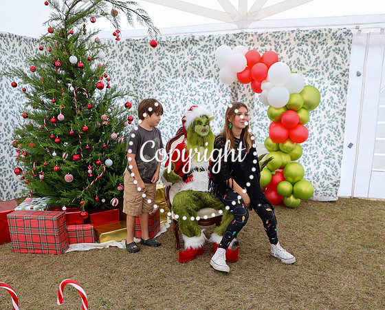 Grinch-10