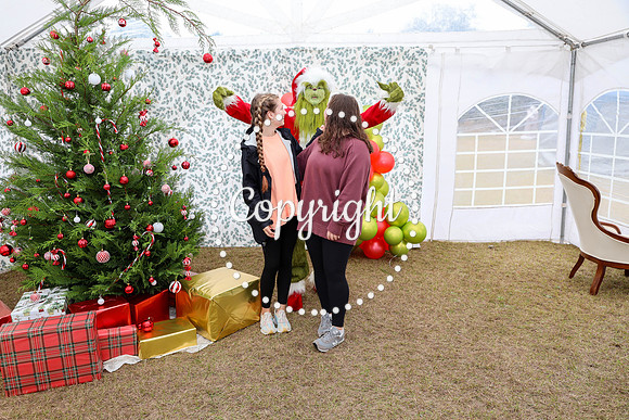 Grinch-102