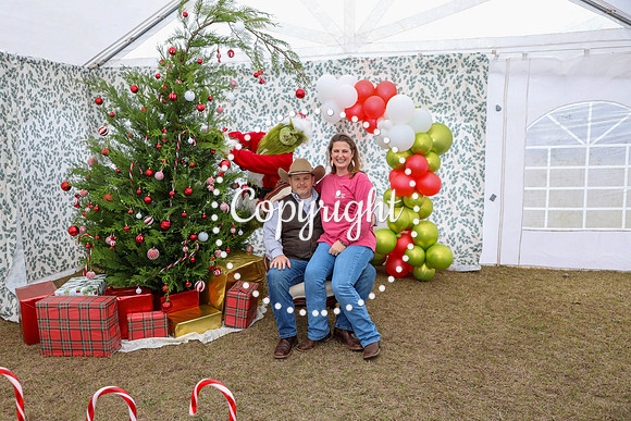 Grinch-29