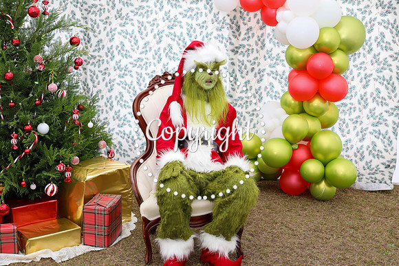 Grinch-14
