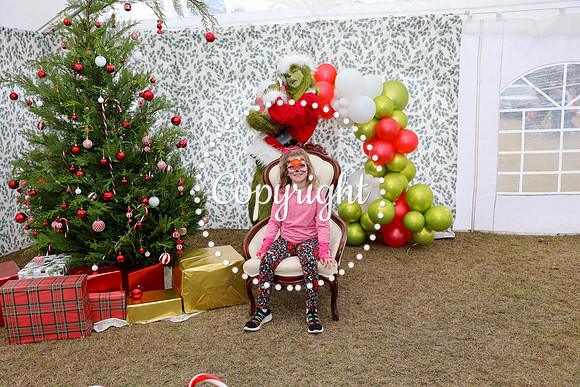 Grinch-88