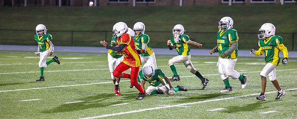 Packers-45