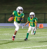 Packers-16