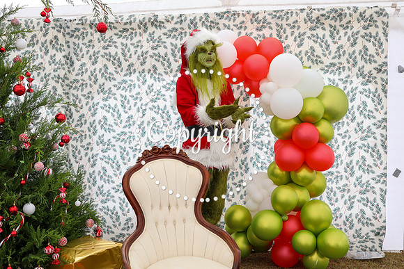 Grinch-2