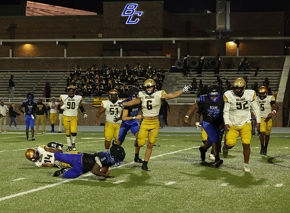 Bears-108