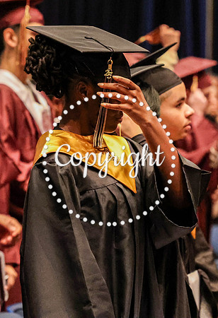 Nikki Grad Photos 2025-21