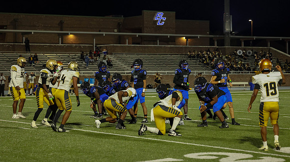 Bears-39