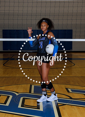 Lady Bears V-Ball-67